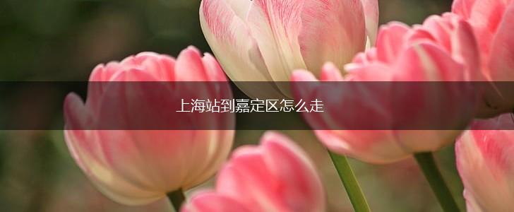 上海站到嘉定区怎么走,第1张