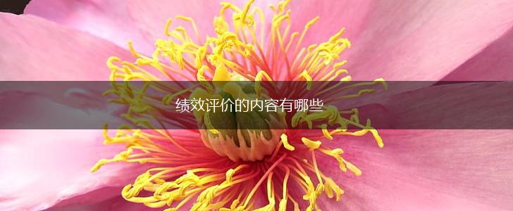 绩效评价的内容有哪些,第1张