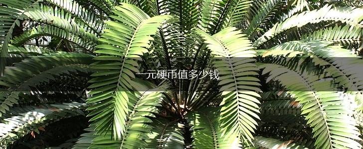 一元硬币值多少钱,第1张