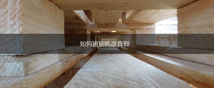 如何辨别鸭血真假,第1张