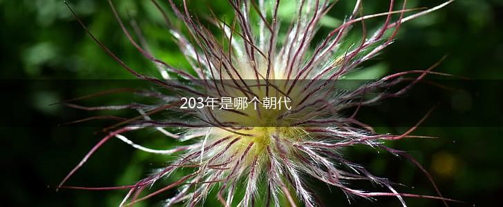203年是哪个朝代,第1张