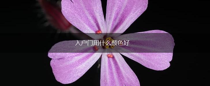 入户门用什么颜色好,第1张