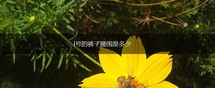 l号的裤子腰围是多少,第1张