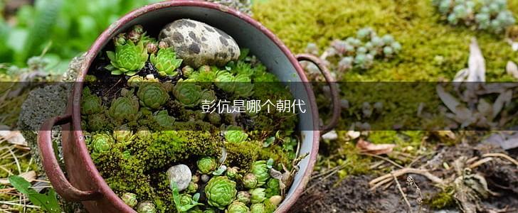 彭伉是哪个朝代,第1张