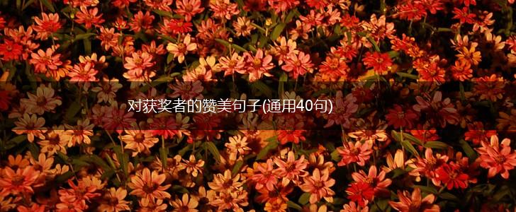对获奖者的赞美句子(通用40句),第1张