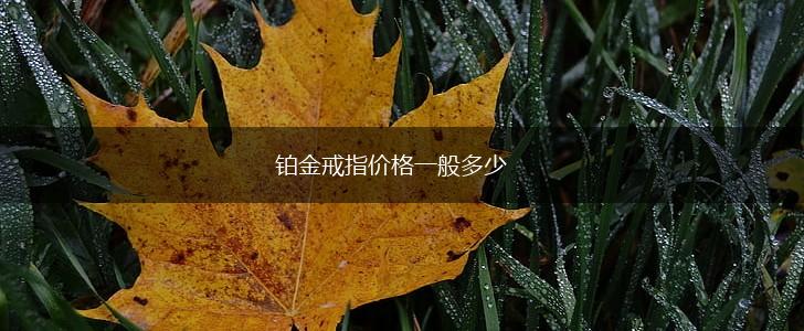 铂金戒指价格一般多少,第1张
