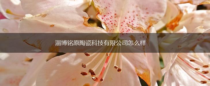 淄博铭原陶瓷科技有限公司怎么样,第1张