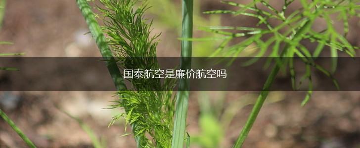 国泰航空是廉价航空吗,第1张