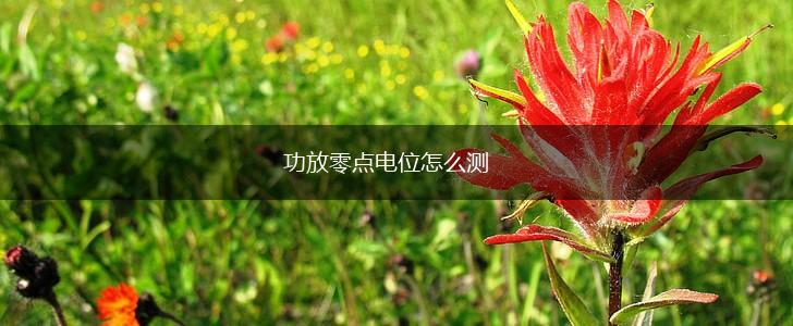 功放零点电位怎么测,第1张