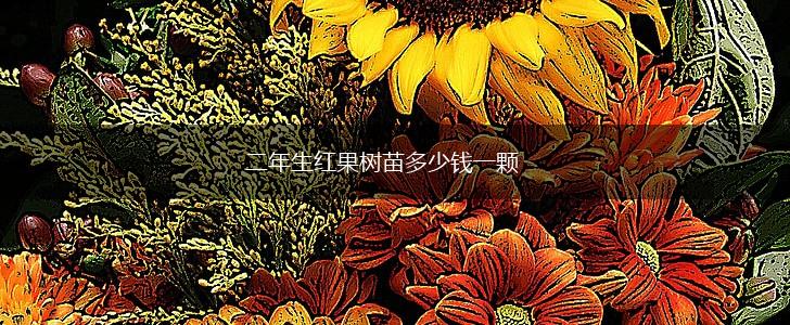 二年生红果树苗多少钱一颗,第1张