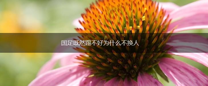 国足既然踢不好为什么不换人,第1张