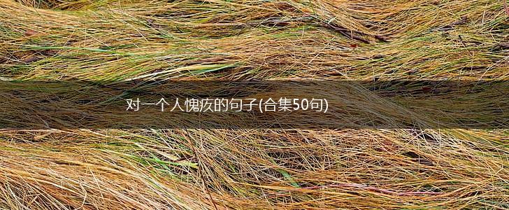 对一个人愧疚的句子(合集50句),第1张