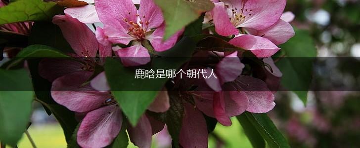 鹿晗是哪个朝代人,第1张