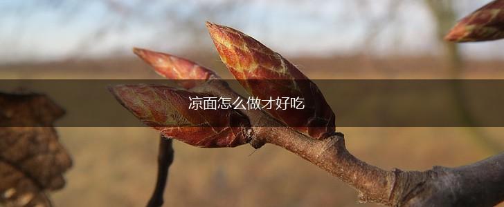 凉面怎么做才好吃,第1张