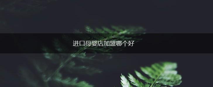 进口母婴店加盟哪个好,第1张