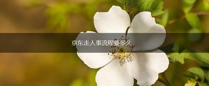 京东走人事流程要多久,第1张