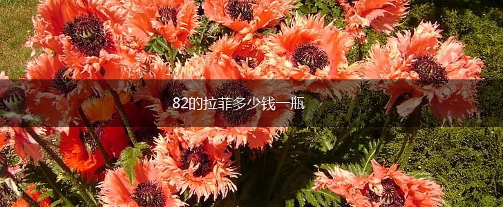 82的拉菲多少钱一瓶,第1张