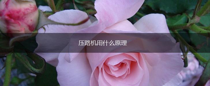 压路机用什么原理,第1张
