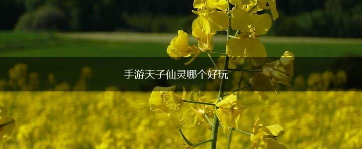 手游天子仙灵哪个好玩,第1张