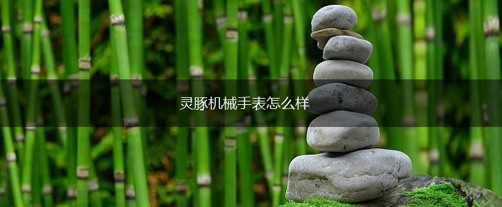灵豚机械手表怎么样,第1张