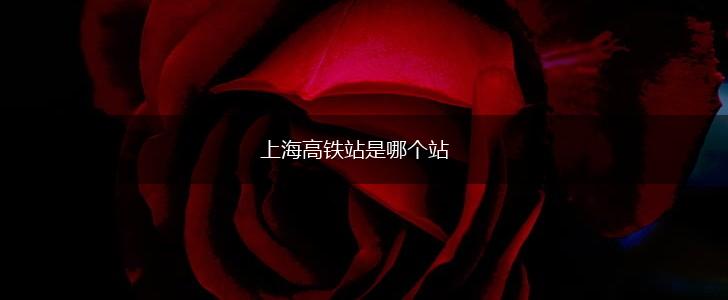 上海高铁站是哪个站,第1张