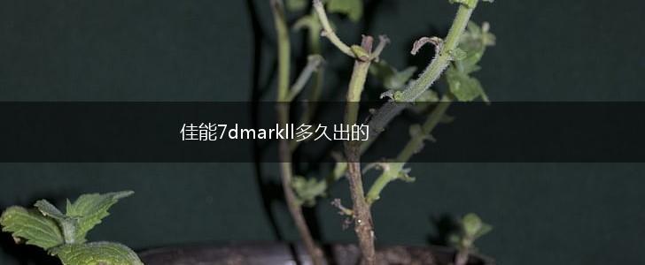 佳能7dmarkll多久出的,第1张