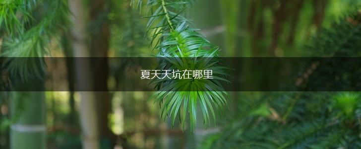 夏天天坑在哪里,第1张