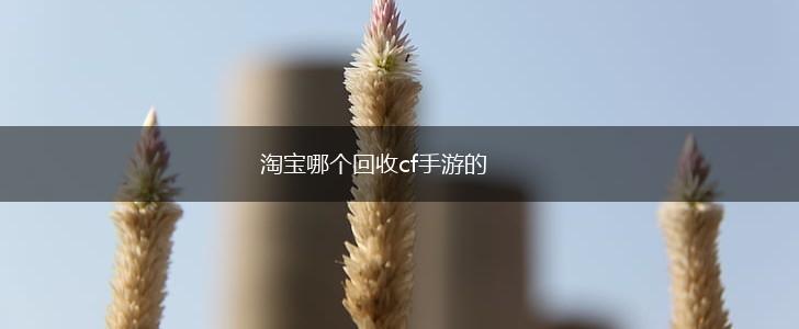 淘宝哪个回收cf手游的,第1张