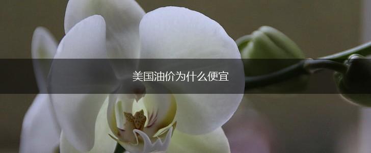 美国油价为什么便宜,第1张