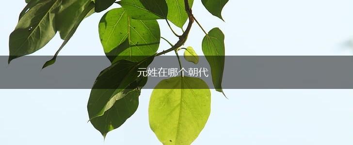 元姓在哪个朝代,第1张