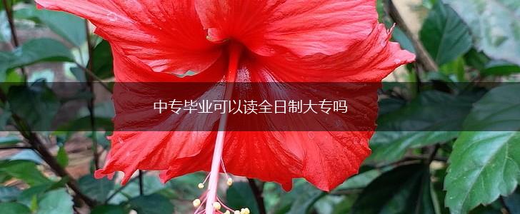 中专毕业可以读全日制大专吗,第1张