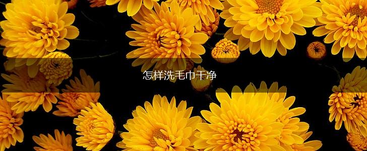 怎样洗毛巾干净,第1张