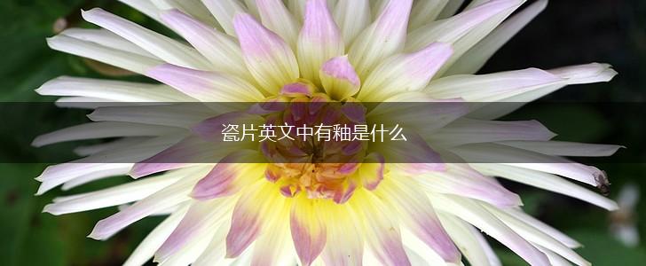 瓷片英文中有釉是什么,第1张