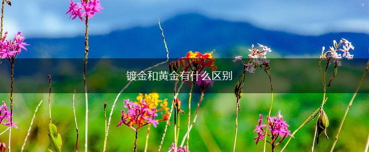 镀金和黄金有什么区别,第1张