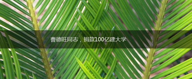 曹德旺同志，捐款100亿建大学,第1张