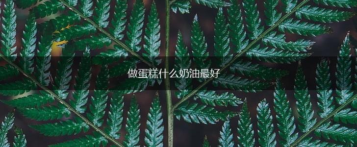 做蛋糕什么奶油最好,第1张