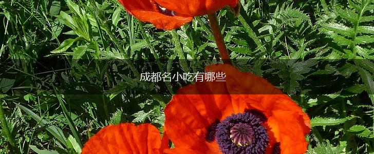 成都名小吃有哪些,第1张