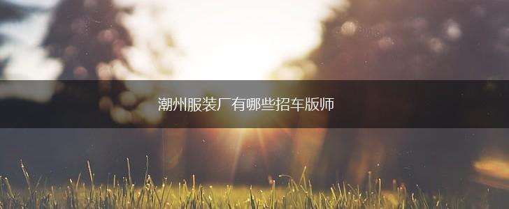 潮州服装厂有哪些招车版师,第1张