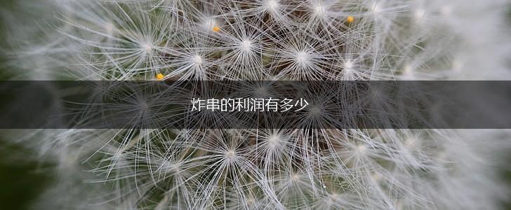 炸串的利润有多少,第1张