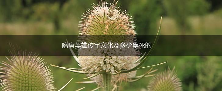 隋唐英雄传宇文化及多少集死的,第1张