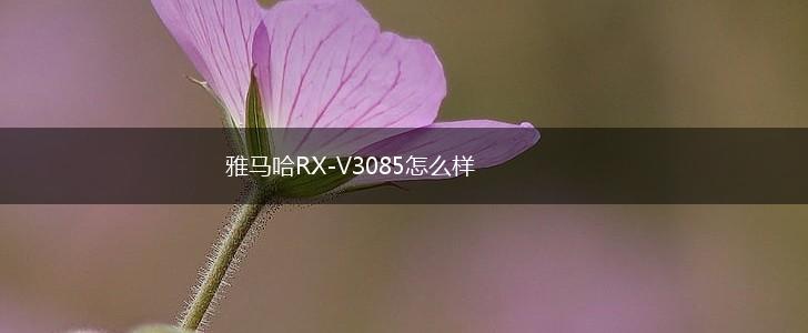 雅马哈RX-V3085怎么样,第1张