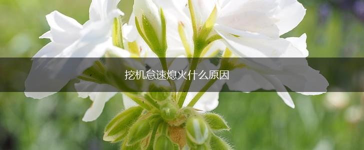 挖机怠速熄火什么原因,第1张
