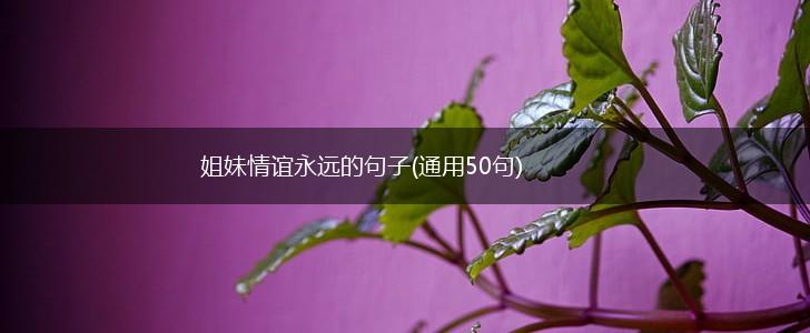 姐妹情谊永远的句子(通用50句),第1张