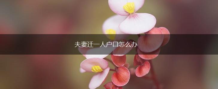 夫妻迁一人户口怎么办,第1张
