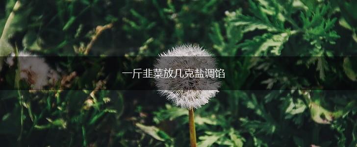 一斤韭菜放几克盐调馅,第1张