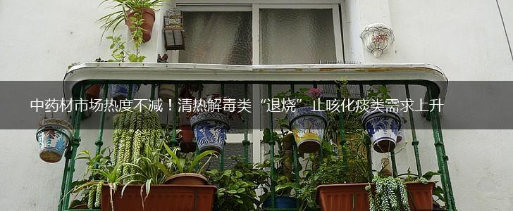 中药材市场热度不减！清热解毒类“退烧”止咳化痰类需求上升,第1张