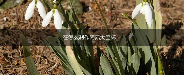 在怎么制作简易太空杯,第1张
