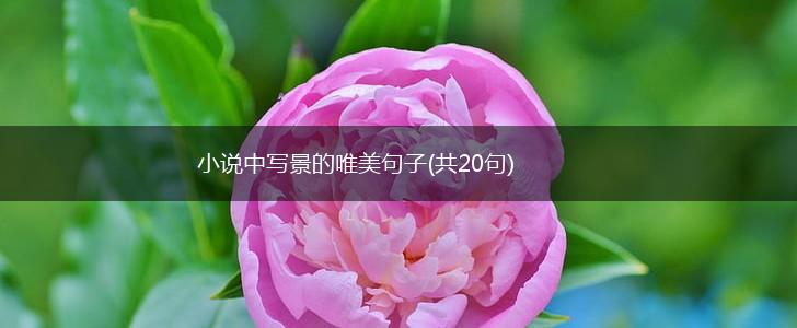 小说中写景的唯美句子(共20句),第1张