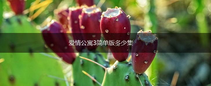 爱情公寓3简单版多少集,第1张