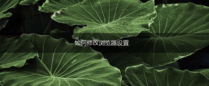 如何修改浏览器设置,第1张